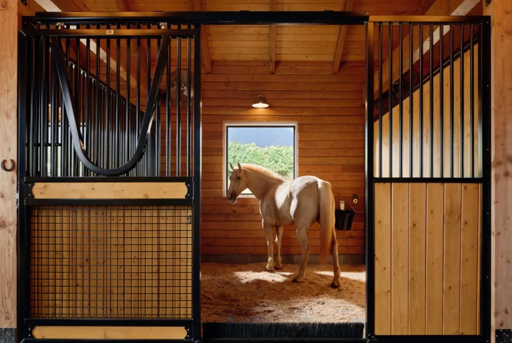 Small Horse Stable